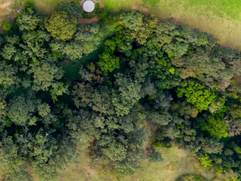 Jirgens Green Planet Initiative