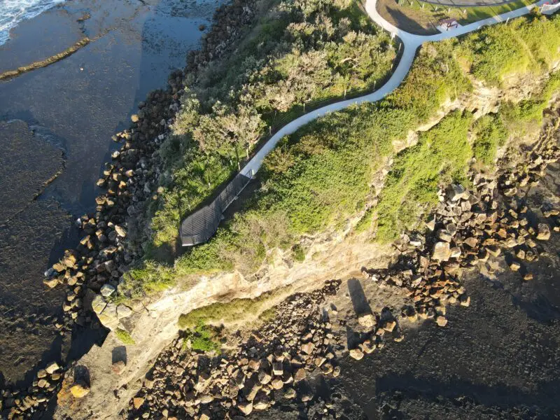 Penguin Heads Viewing Platform